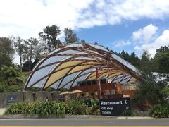 -怀托摩萤火虫洞