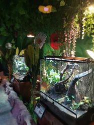 -酷嗒动物文化乐园(cutezoo西溪乐天城店)