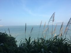 -东极岛景区