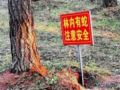 -塞罕坝国家级自然保护区