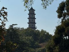 -江心屿景区