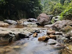 -鼎湖山风景区