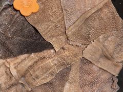 -牛村来人潮汕牛肉火锅(西单店)