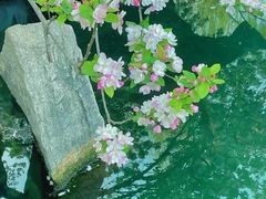 -济南大明湖景区