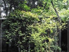 -箱美术馆私房菜(水晶郦城店)