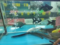 -崖口红树林海鲜餐厅