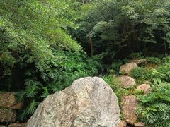 -广州市白云山风景名胜区