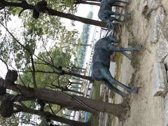 -溱湖国家湿地公园