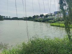 -三圣花乡旅游区
