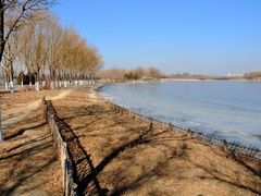 -大兴滨河森林公园