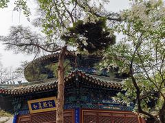 -潭柘寺景区