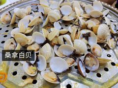 -凯盈阁·顺德私房菜·桑拿鸡