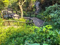 -杭州植物园