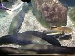 -太平洋海底世界