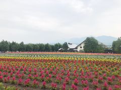 -富田农场