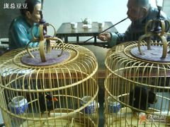 “到家尝”门口会说话的八哥-到家尝北京菜(西坝河店)