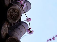 -三里河公园