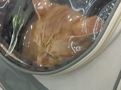 -联合动物医院(光谷诊疗中心)