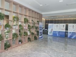 -碧莲盛·不剃发植发