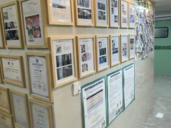 -半岛宠物医院24小时·内窥镜·牙科·碎石中心(府城大道店)