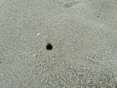 -三亚亚龙湾红树林度假酒店