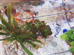 -雕刻时光咖啡馆(交大店)