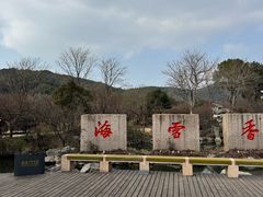 -香雪海