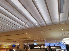 -奈雪的茶(花城汇中区PRO店)