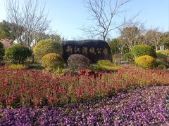 -新江湾城公园