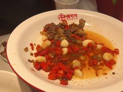 -辣可可·小炒黄牛肉(望京凯德MALL店)