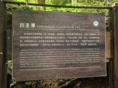 -牛背梁国家森林公园