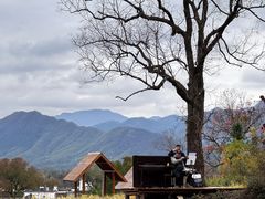 -塔川景区