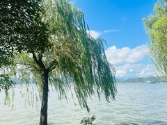 -东钱湖旅游度假区