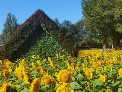 -长白岛森林公园