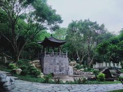 -深圳国际园林花卉博览园