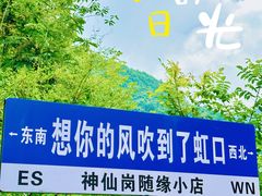 -虹口漂流