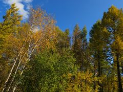 -塞罕坝国家级自然保护区