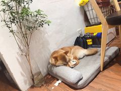 -About Bistro關於·泰式家庭料理