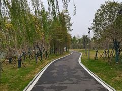 -洋湖国家湿地公园