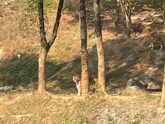 -杭州野生动物世界