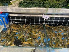 -川骄海鲜自助(河东店)