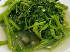 -老杨饭店(万科里店)