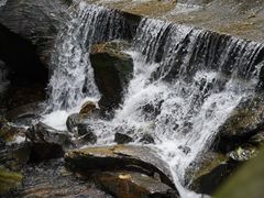 -鼎湖山风景区