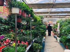 -秦美花卉(天朗·莱茵小城2期店)