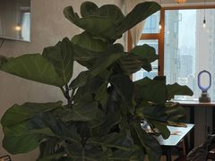 -众独空间沉浸式自习室(三阳路铂仕汇店)