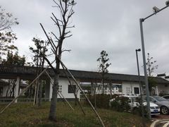 -婺源站