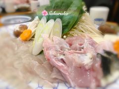 -天正河鲀·河豚亭(大连店)