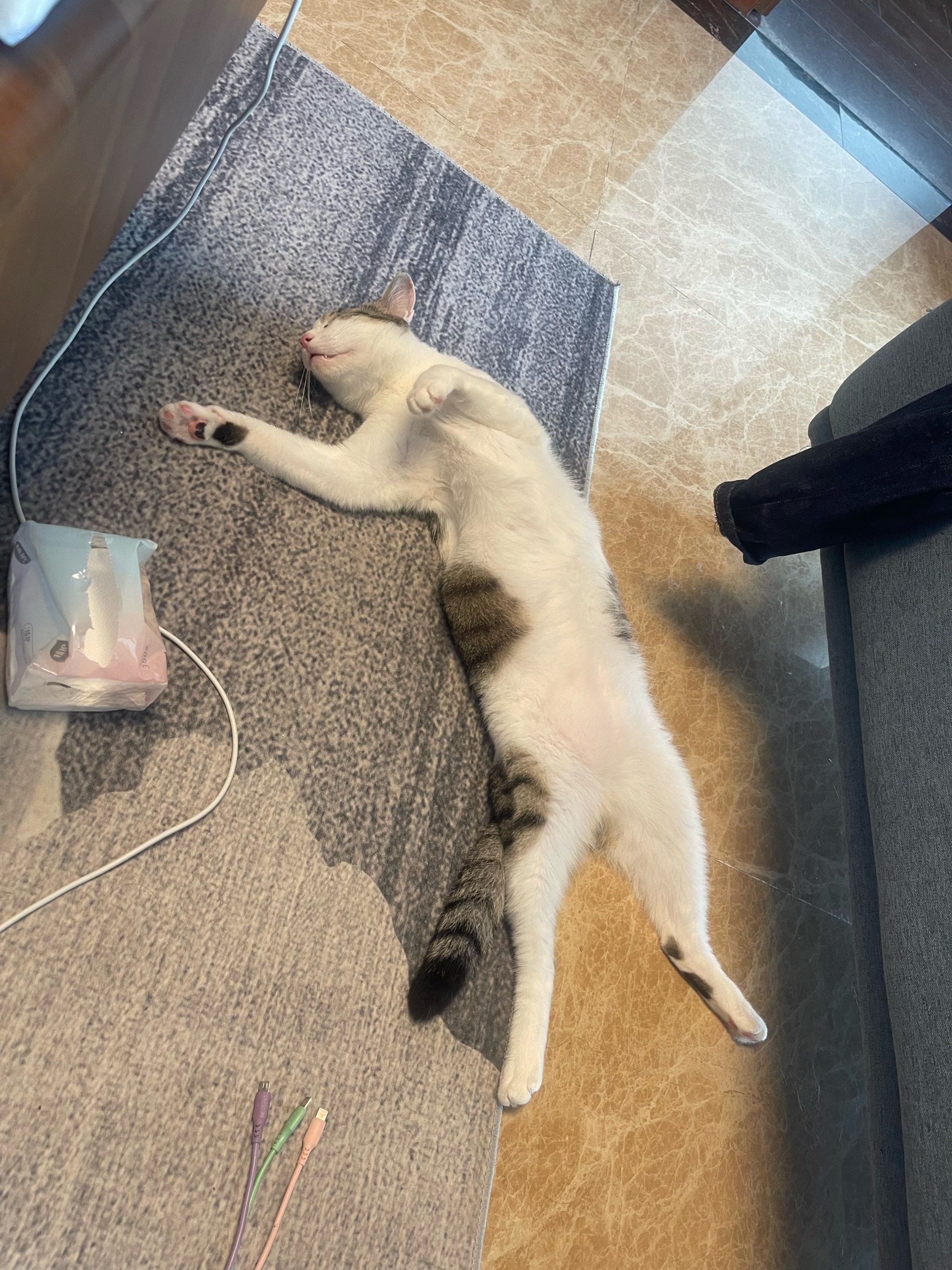 花式睡姿来一波[笑哭]