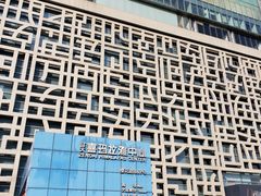 -证大喜玛拉雅中心