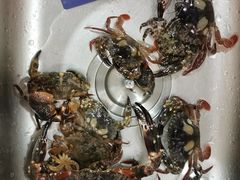 -林记潮汕海鲜砂锅粥(平潭店)
